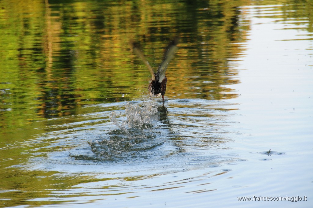 Lubiana 2011.07.31_89.JPG